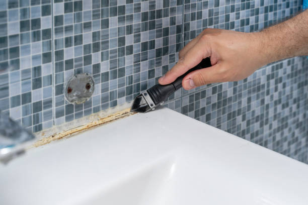 Best Mold Removal Near Me  in Merryville, LA